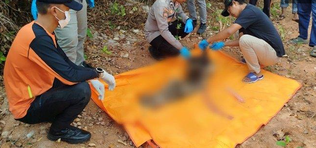 Nelayan Beltim Temukan Tengkorak Manusia, Polisi Sebut Bukan Korban KM Mulya Jaya IID Batang Jateng